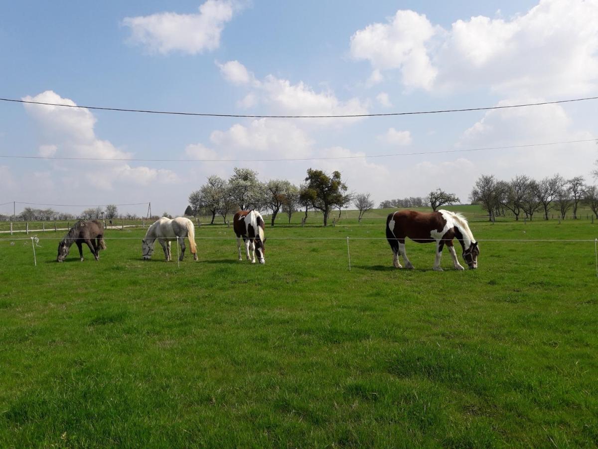 Gite La Besse, Claudon Εξωτερικό φωτογραφία
